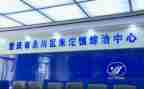 乡书记综治述职报告6篇