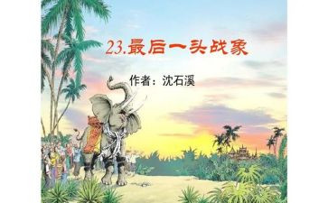 最后一头战象读后感600字7篇