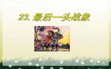 最后一头战象读后感300字8篇
